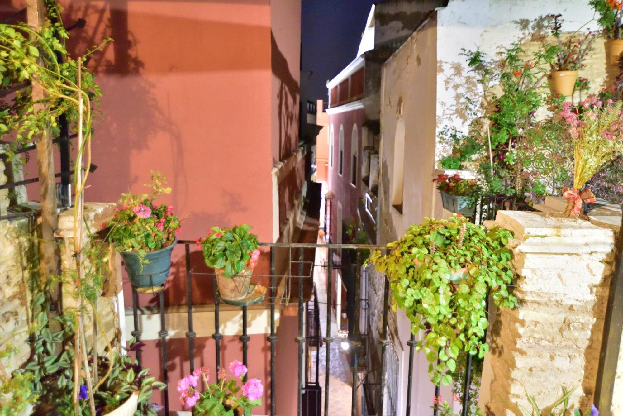 Casa Tenorio Barrio De Santa Cruz Sevilla Exterior foto
